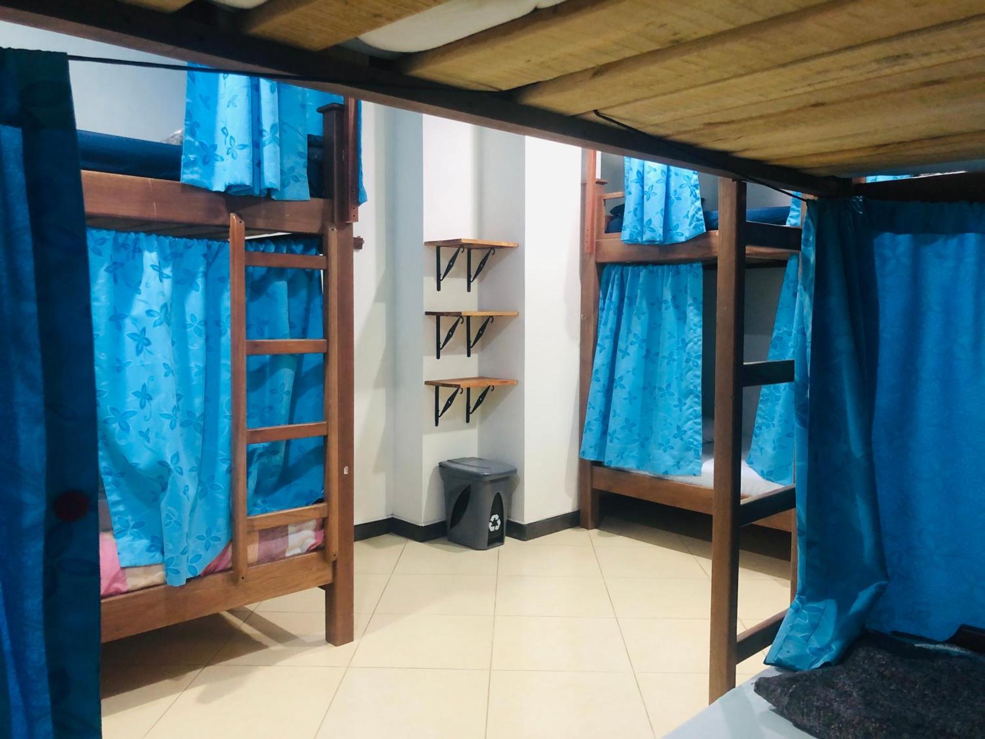 Bed in 6-Bed Mixed Dormitory Room