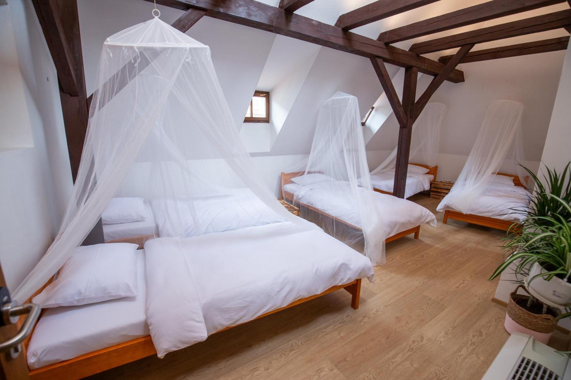 Bed in 6-Bed Female Dormitory Room