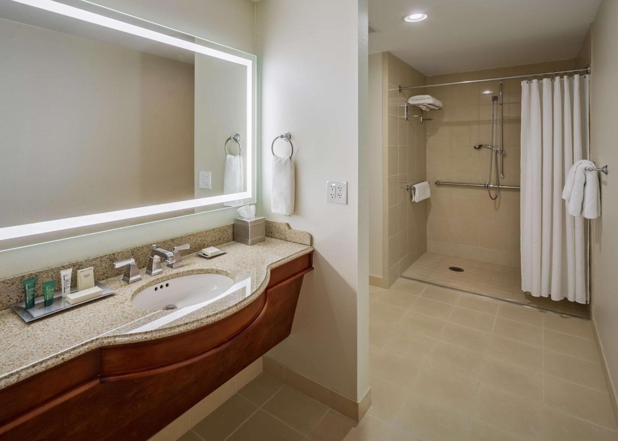 King Room with Roll-In Shower - Mobility Access
