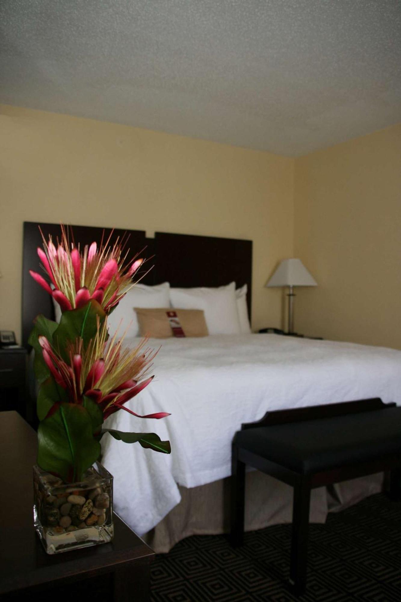 King Room with King Bed - Non-Smoking