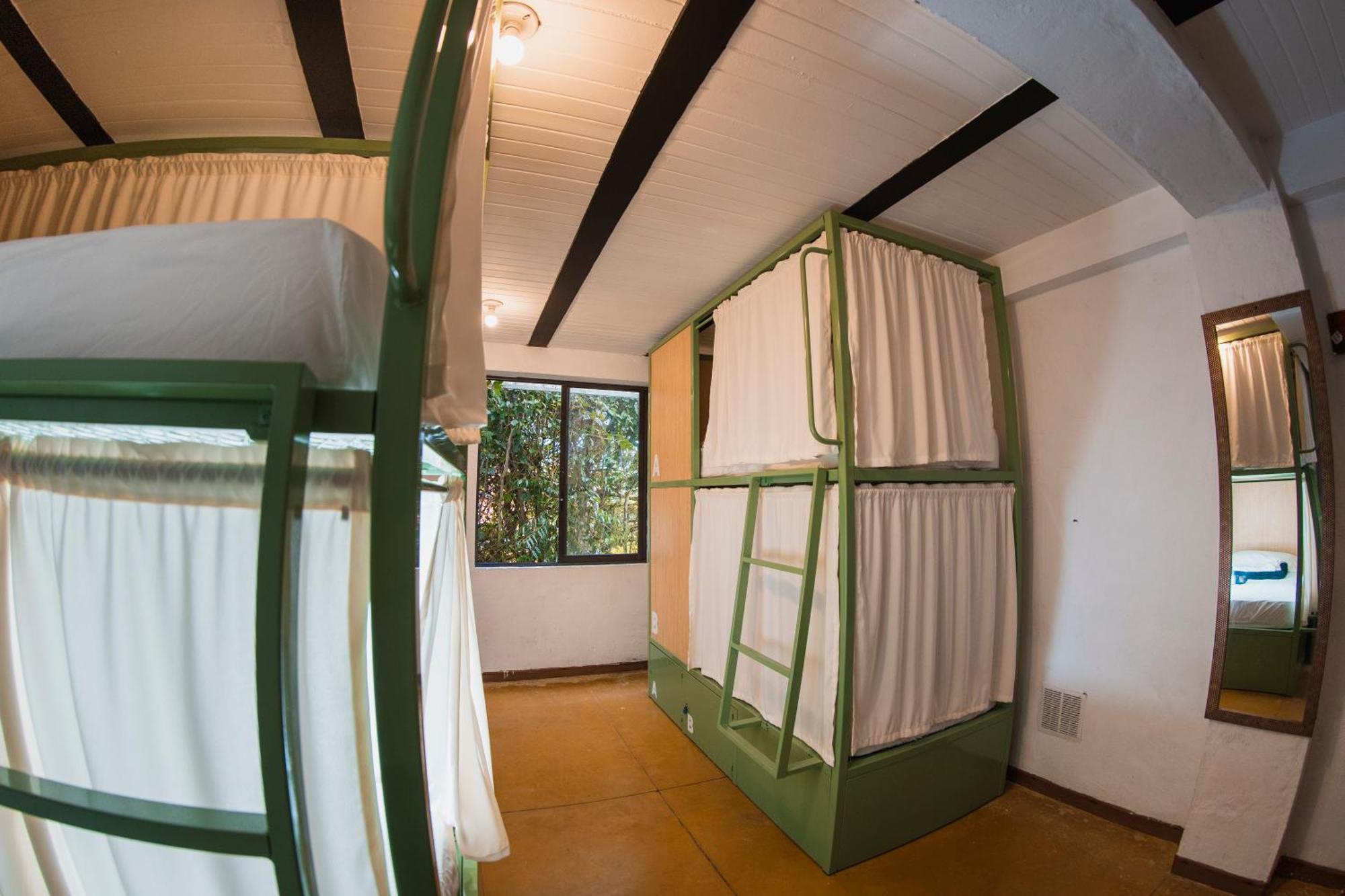 Bed in 6-Bed Mixed Dormitory Room