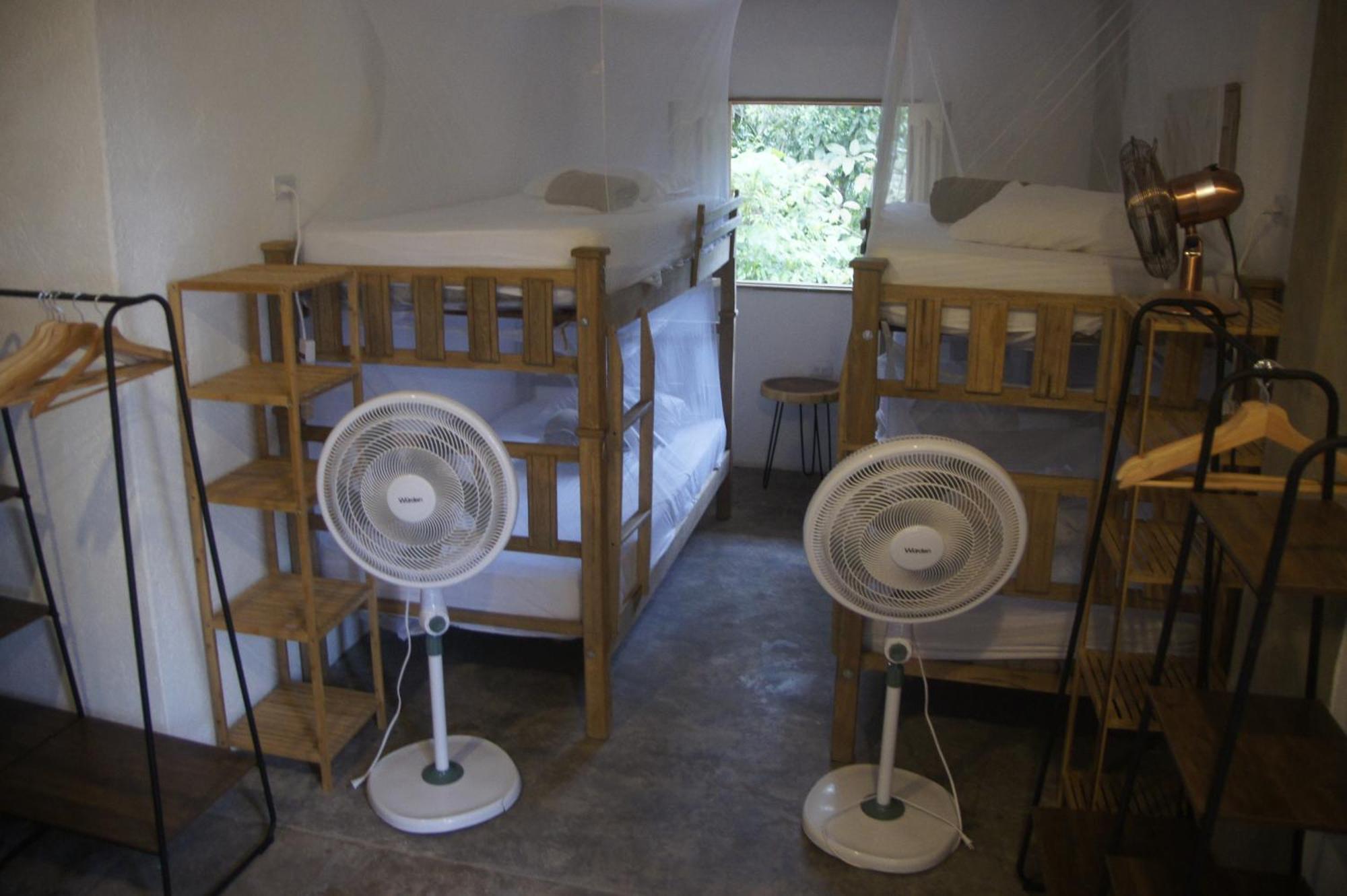Single Bed in Mixed Dormitory Room