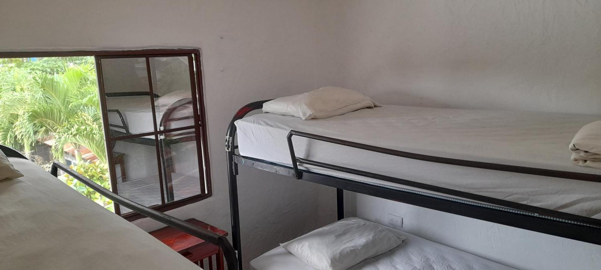 Single Bed in 4-Bed Dormitory Room