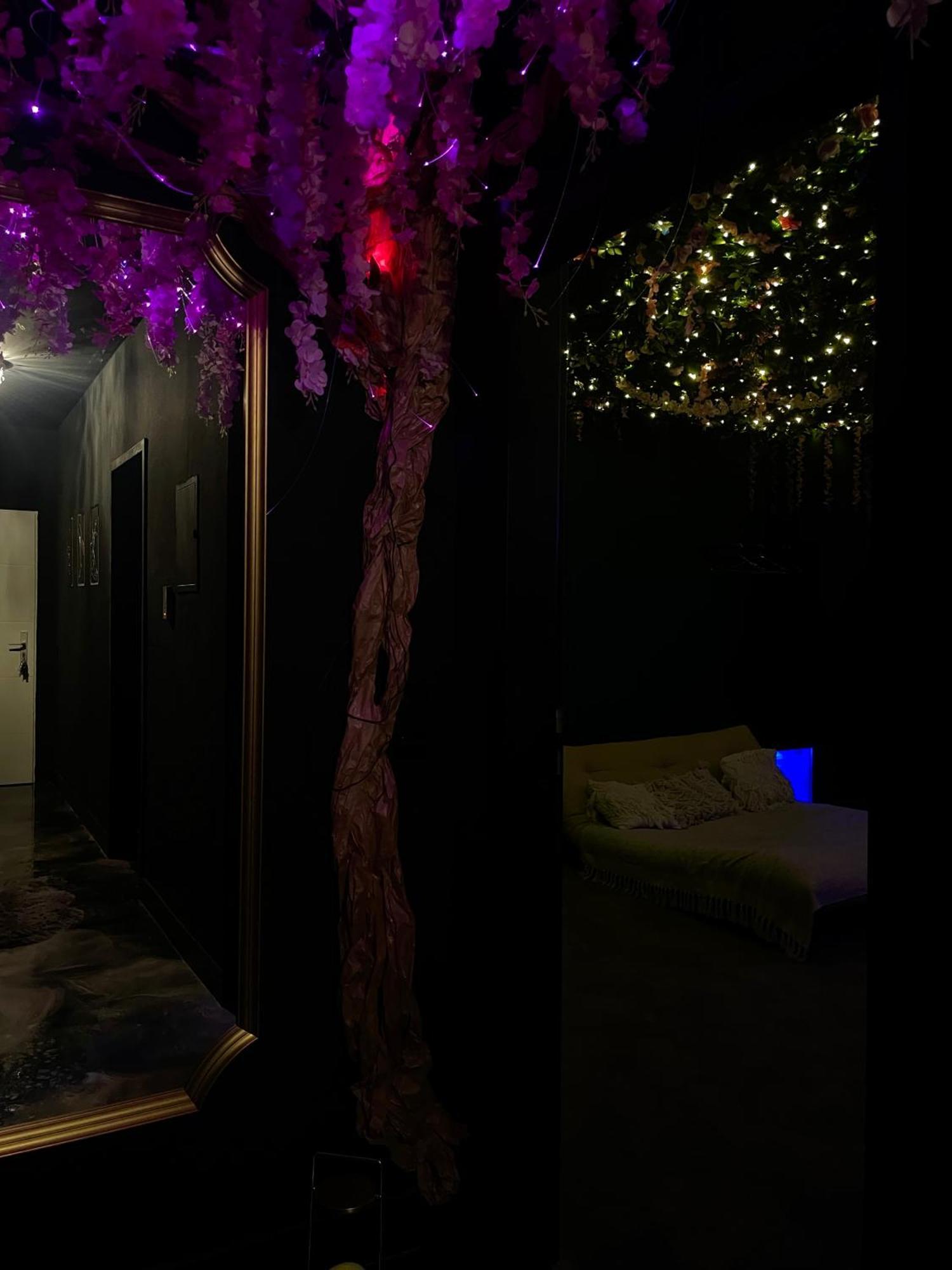 One-Bedroom Apartment with Spa Bath