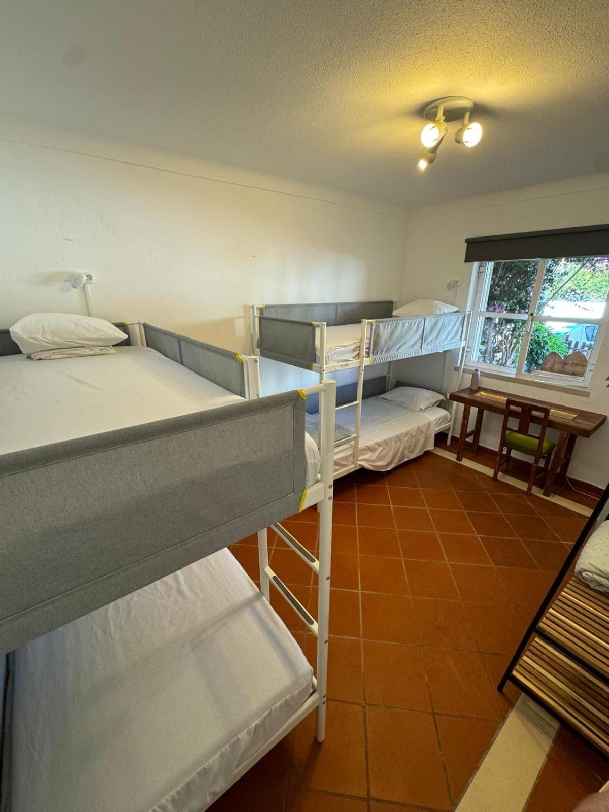 Bed in 4-Bed Mixed Dormitory Room