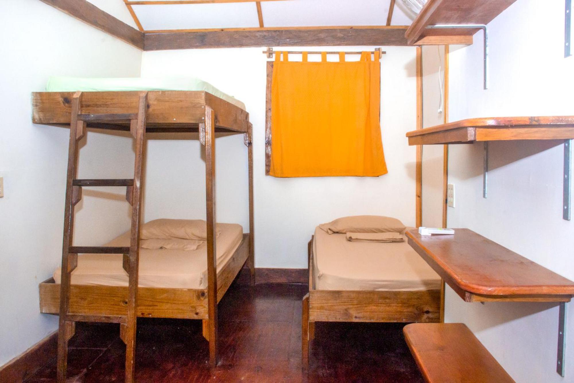 Bunk Bed in Mixed Dormitory Room