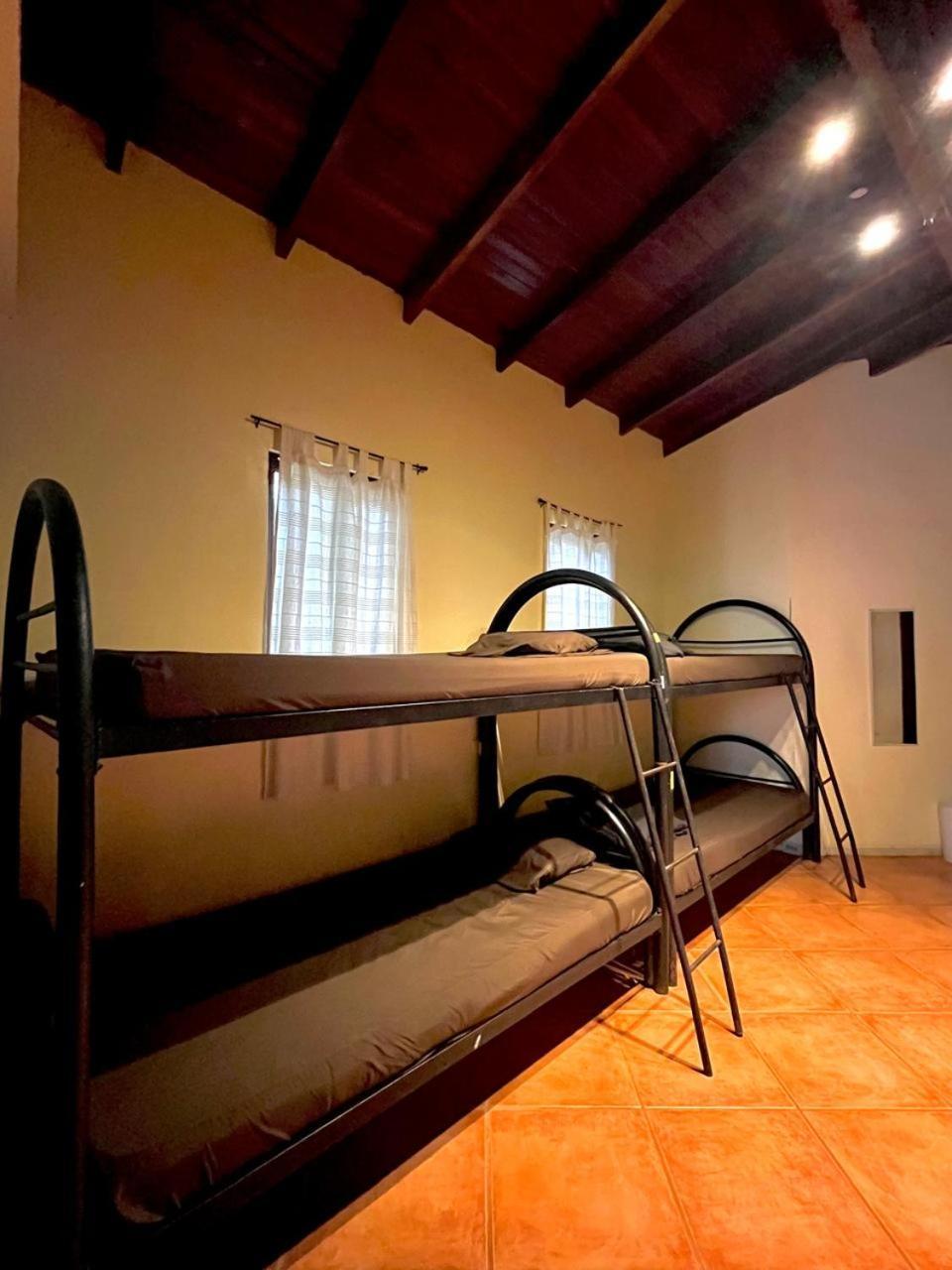 Bed in 8-Bed Mixed Dormitory Room