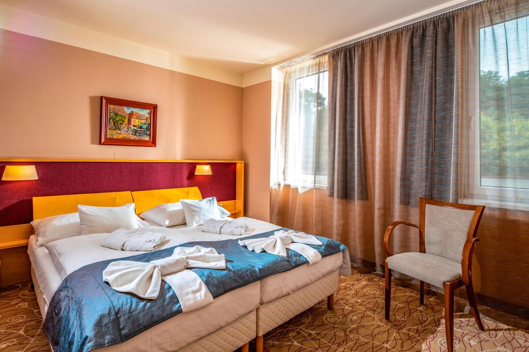 Premium Large room