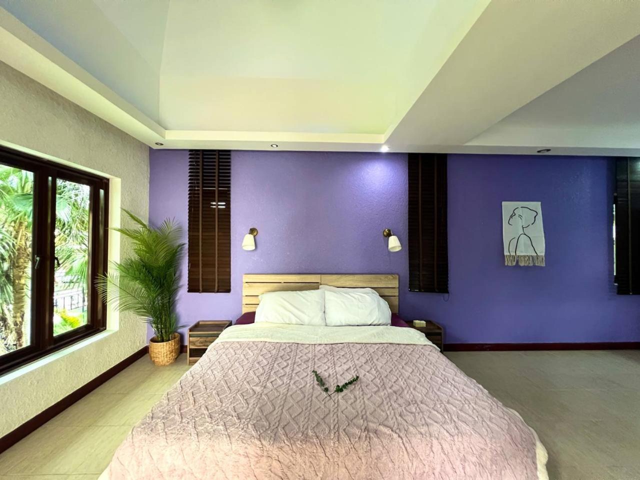 Suite with Terrace