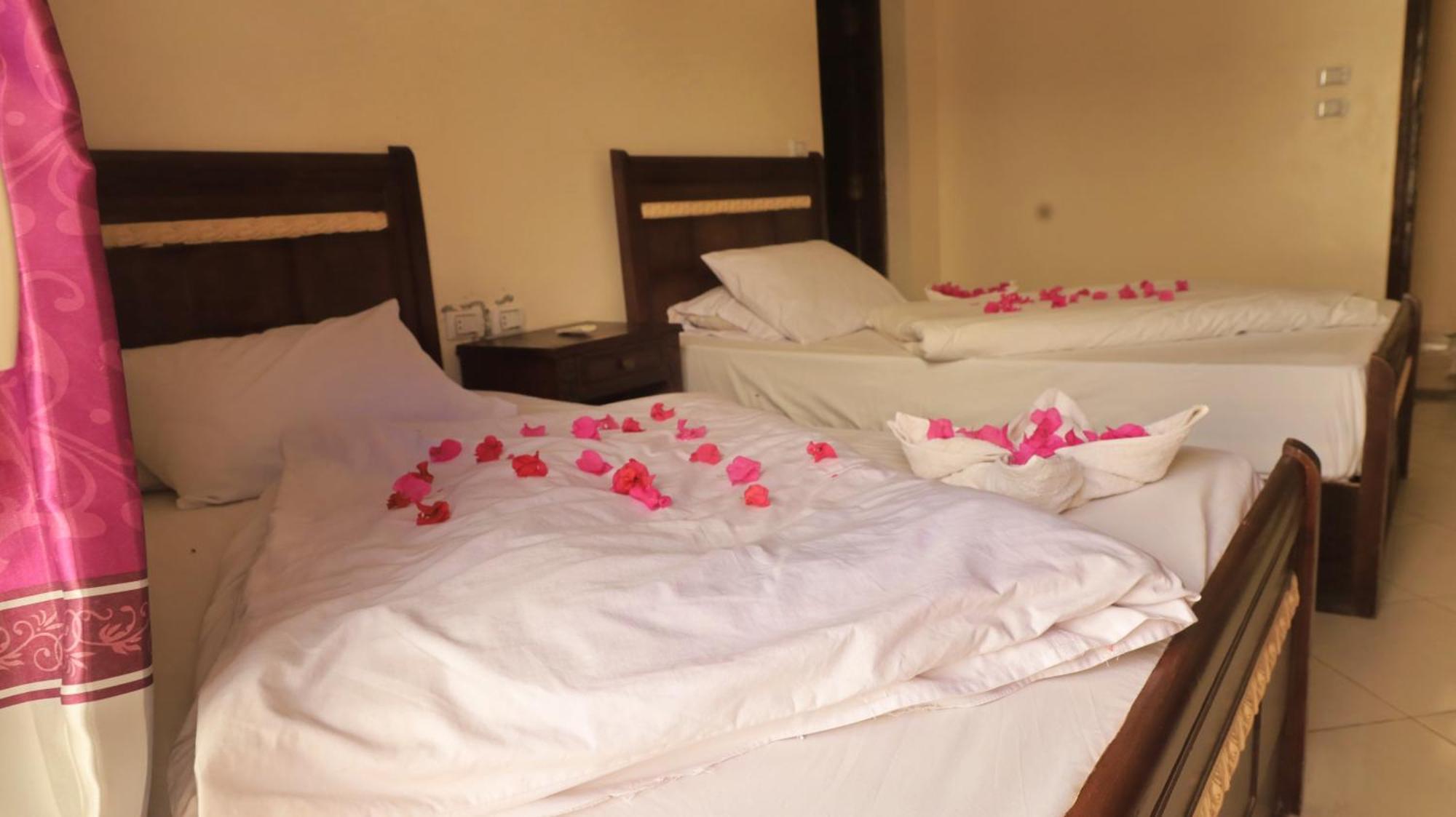 Deluxe Double Room (2 Adults + 1 Child)