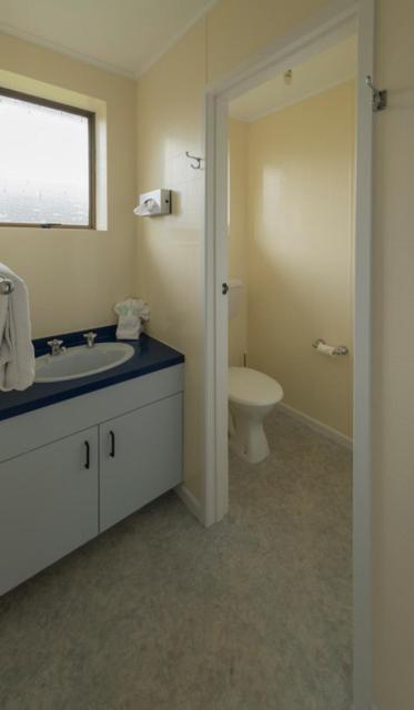 Deluxe One-Bedroom Apartment