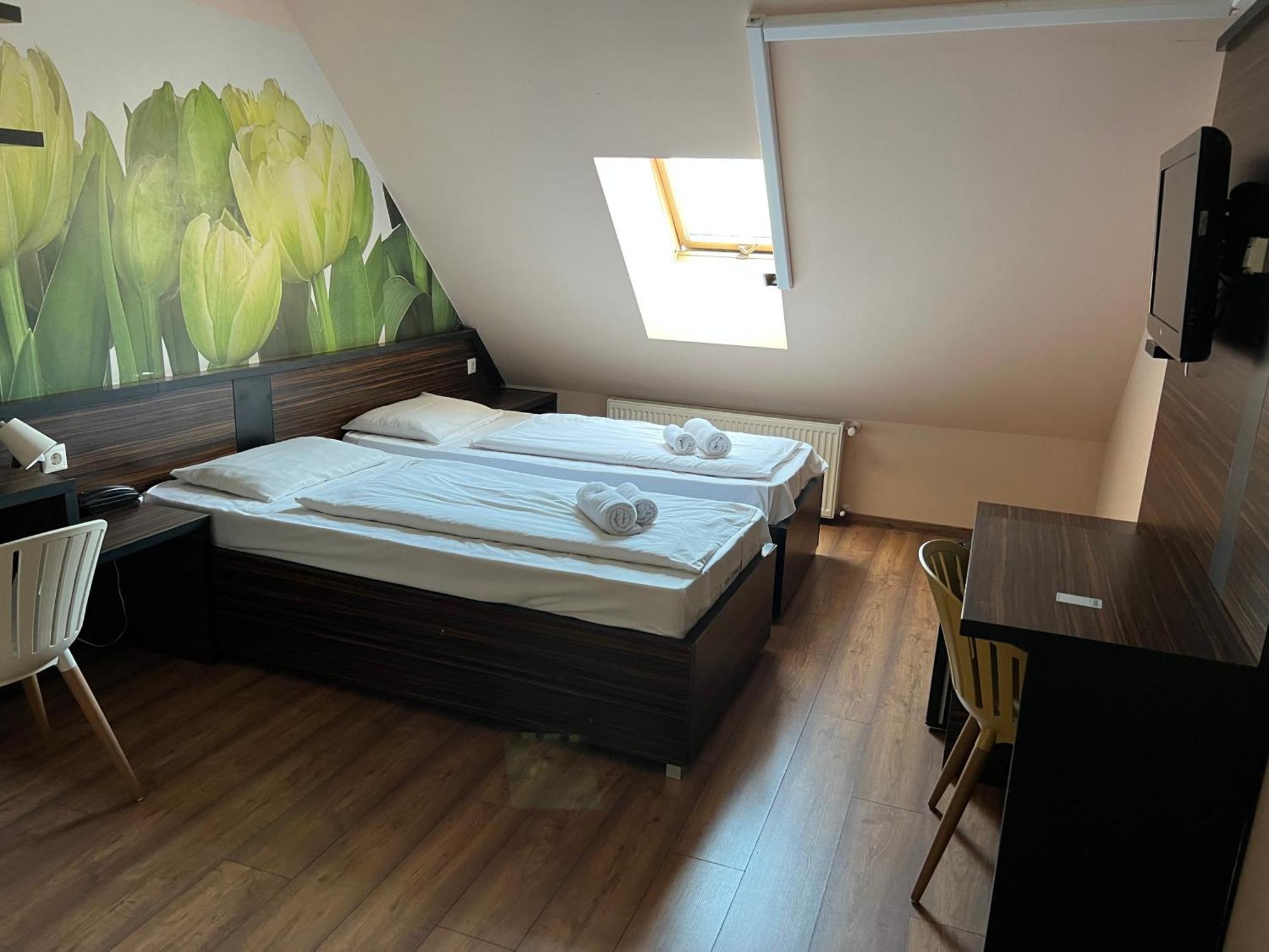 Standard Double Room with Fan