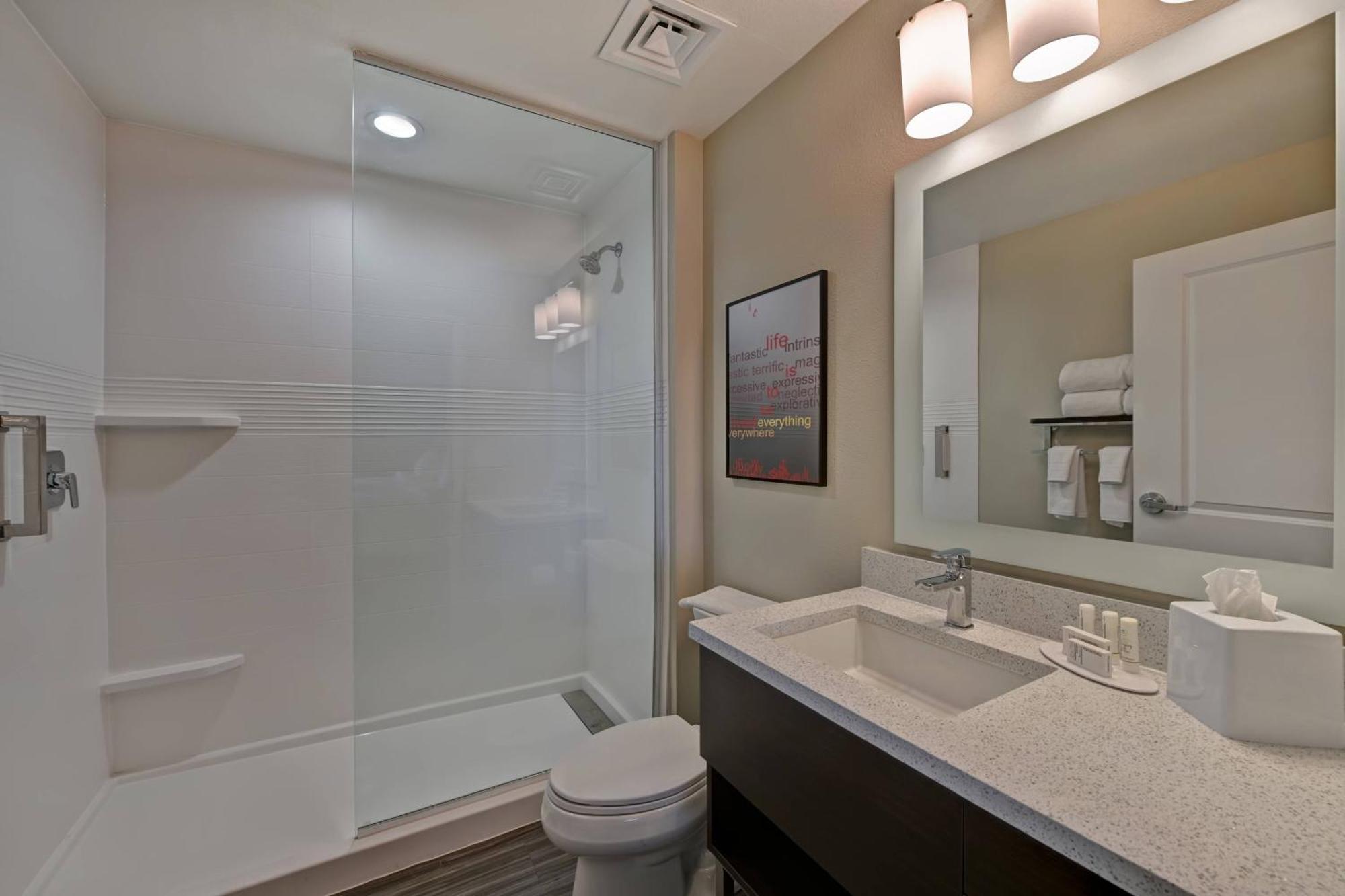 1 Bedroom Suite, 1 King, Sofa bed