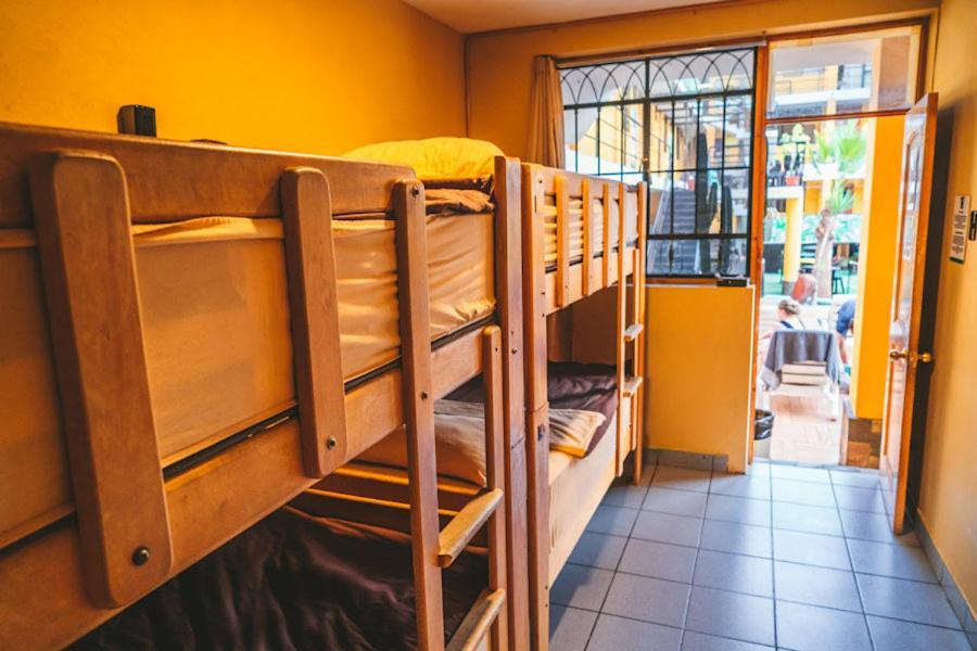 Bed in 4-Bed Mixed Dormitory Room