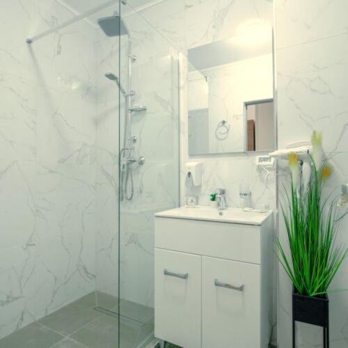 Premium Apartment