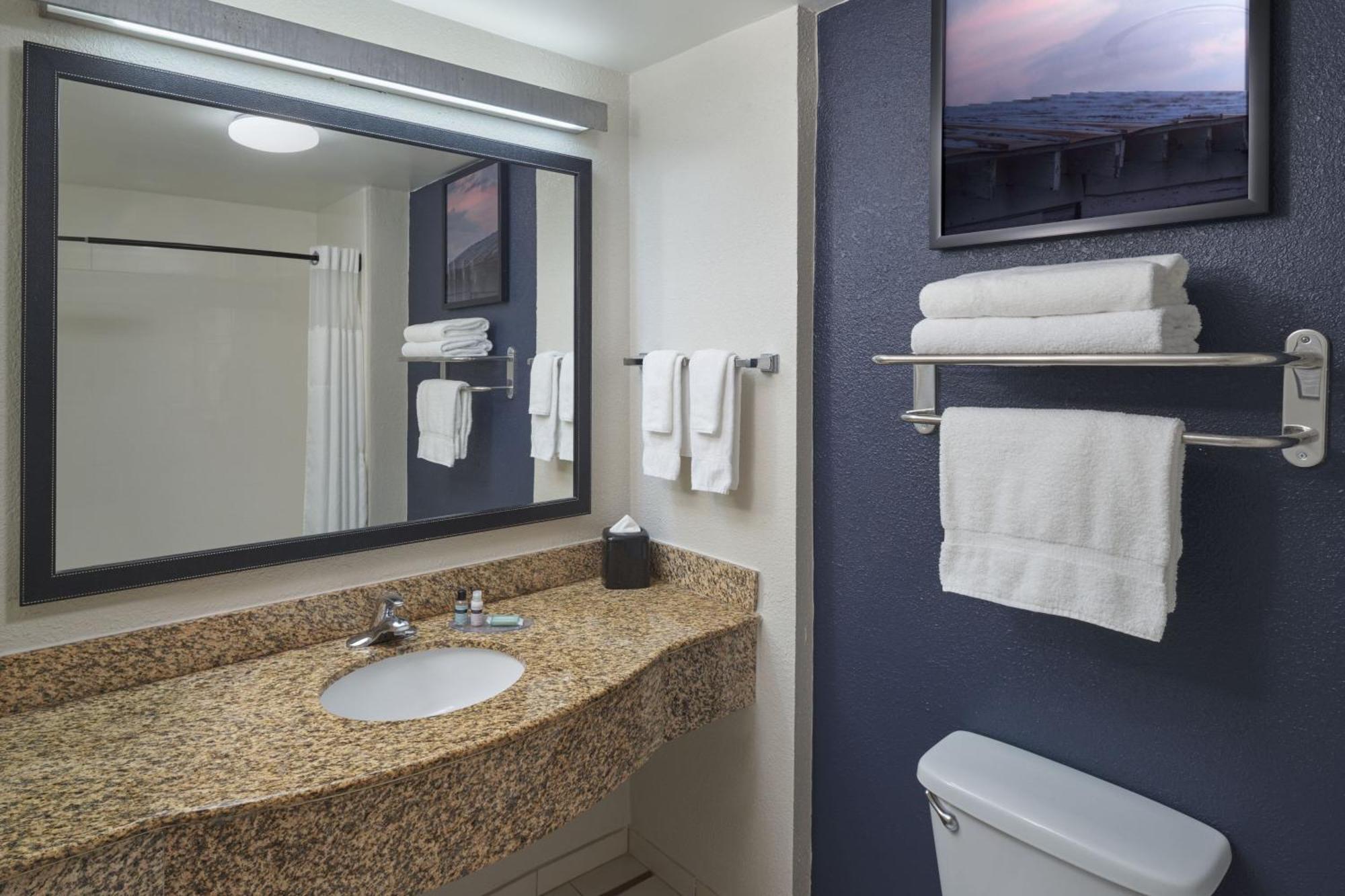 King Room with Roll-In Shower and Transfer Shower - Mobility Access