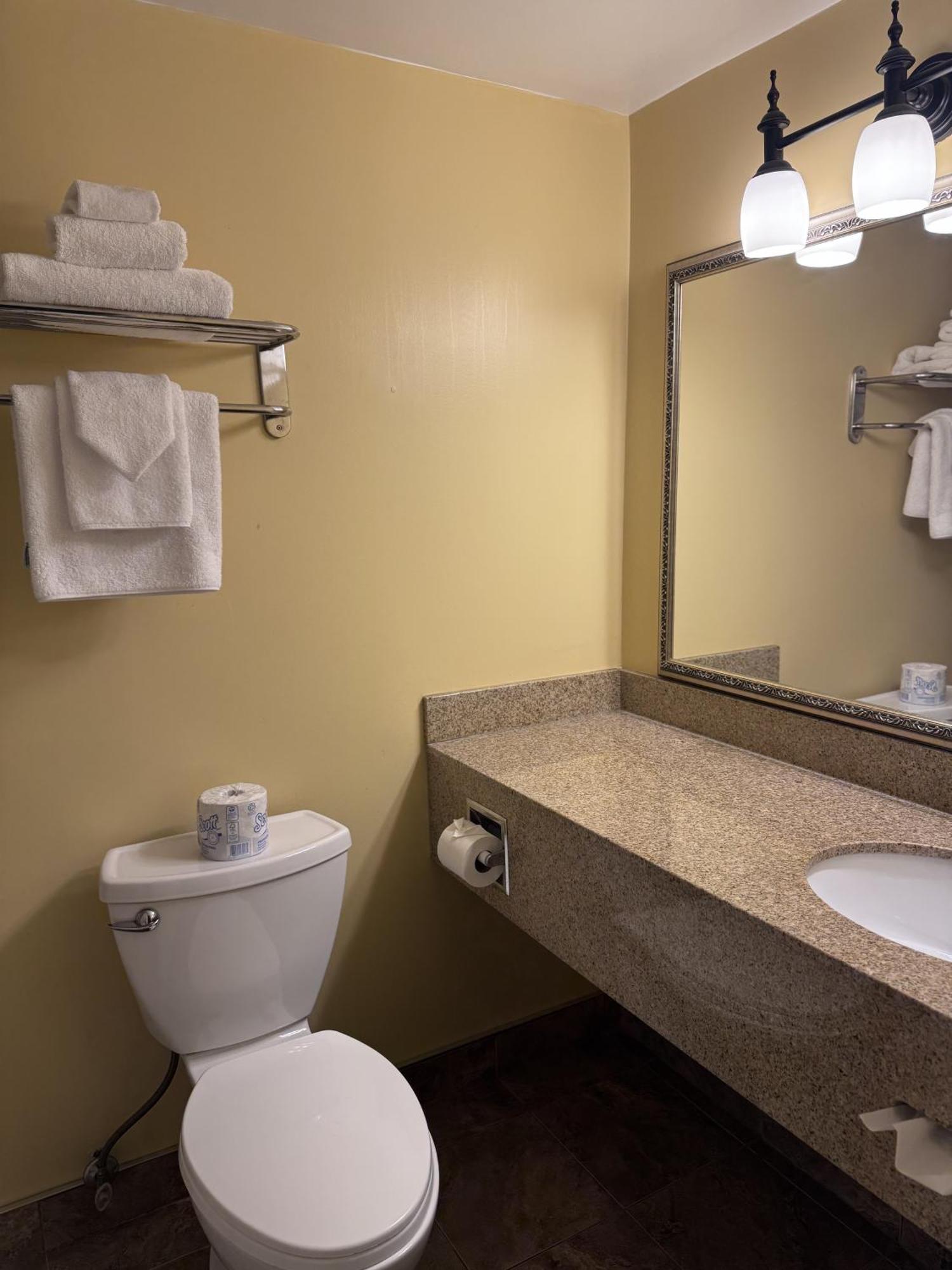 Business Double Room with Two Double Beds - Non-Smoking