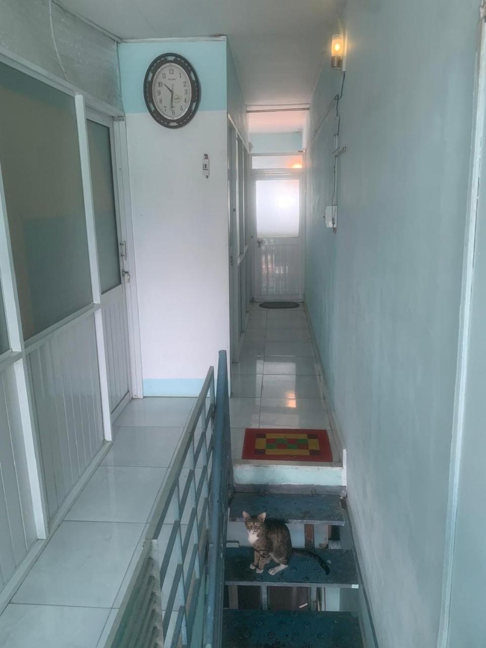 Single Room with Terrace