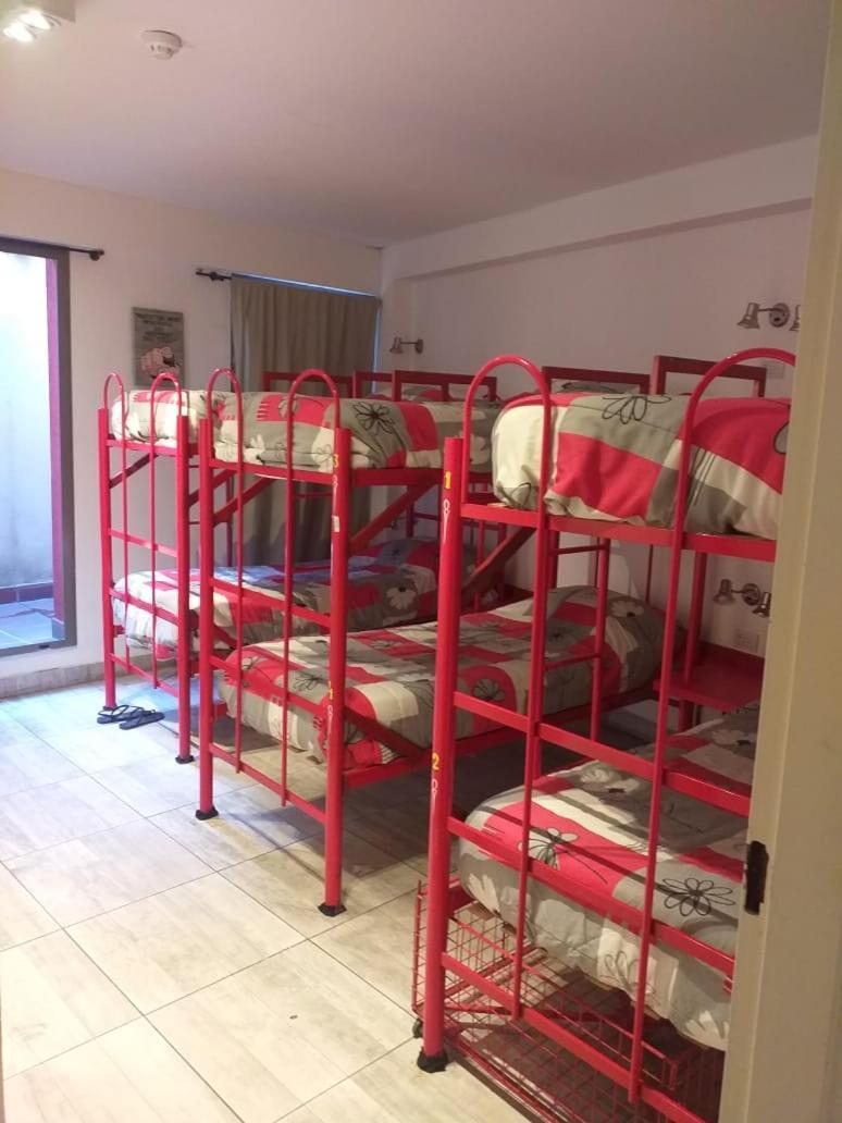 Bed in 6-Bed Mixed Dormitory Room