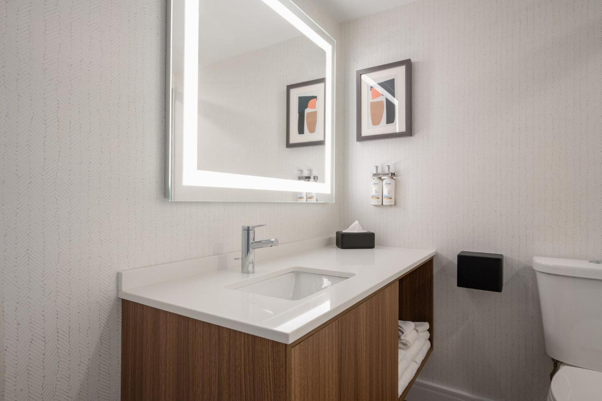 One-Bedroom Suite with Sofa Bed