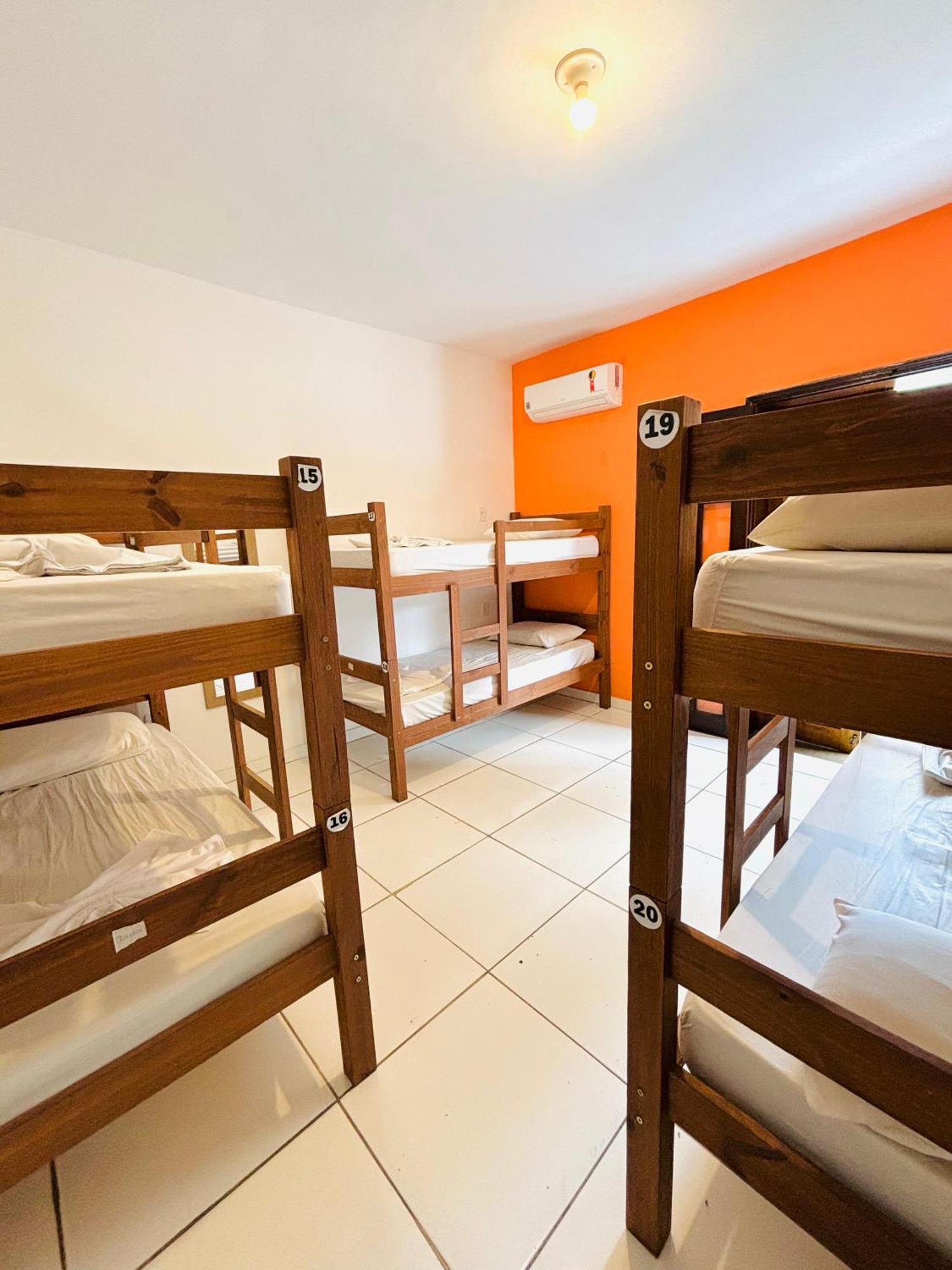 Bunk Bed in Female Dormitory Room
