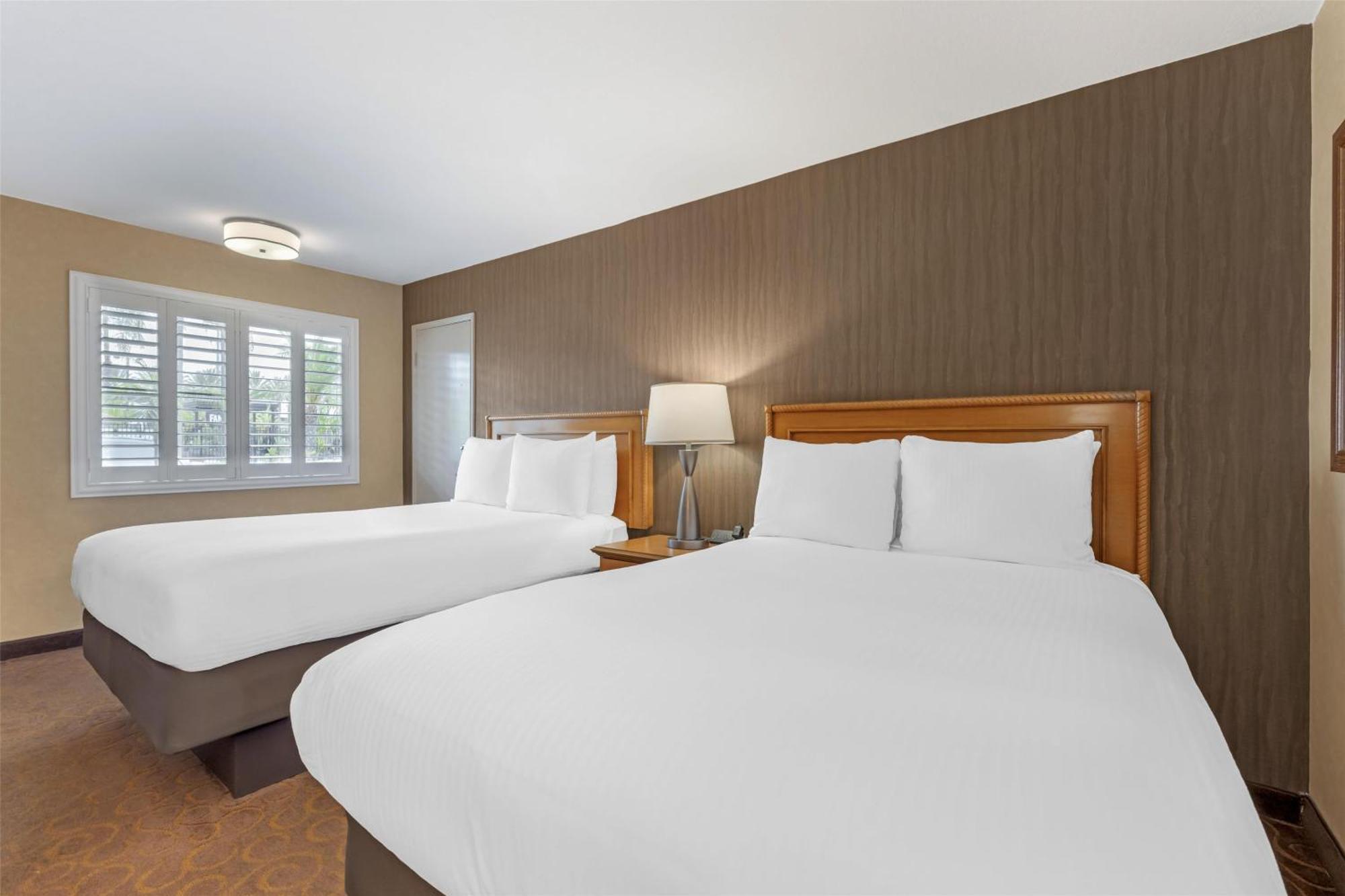 Double Room with Two Double Beds