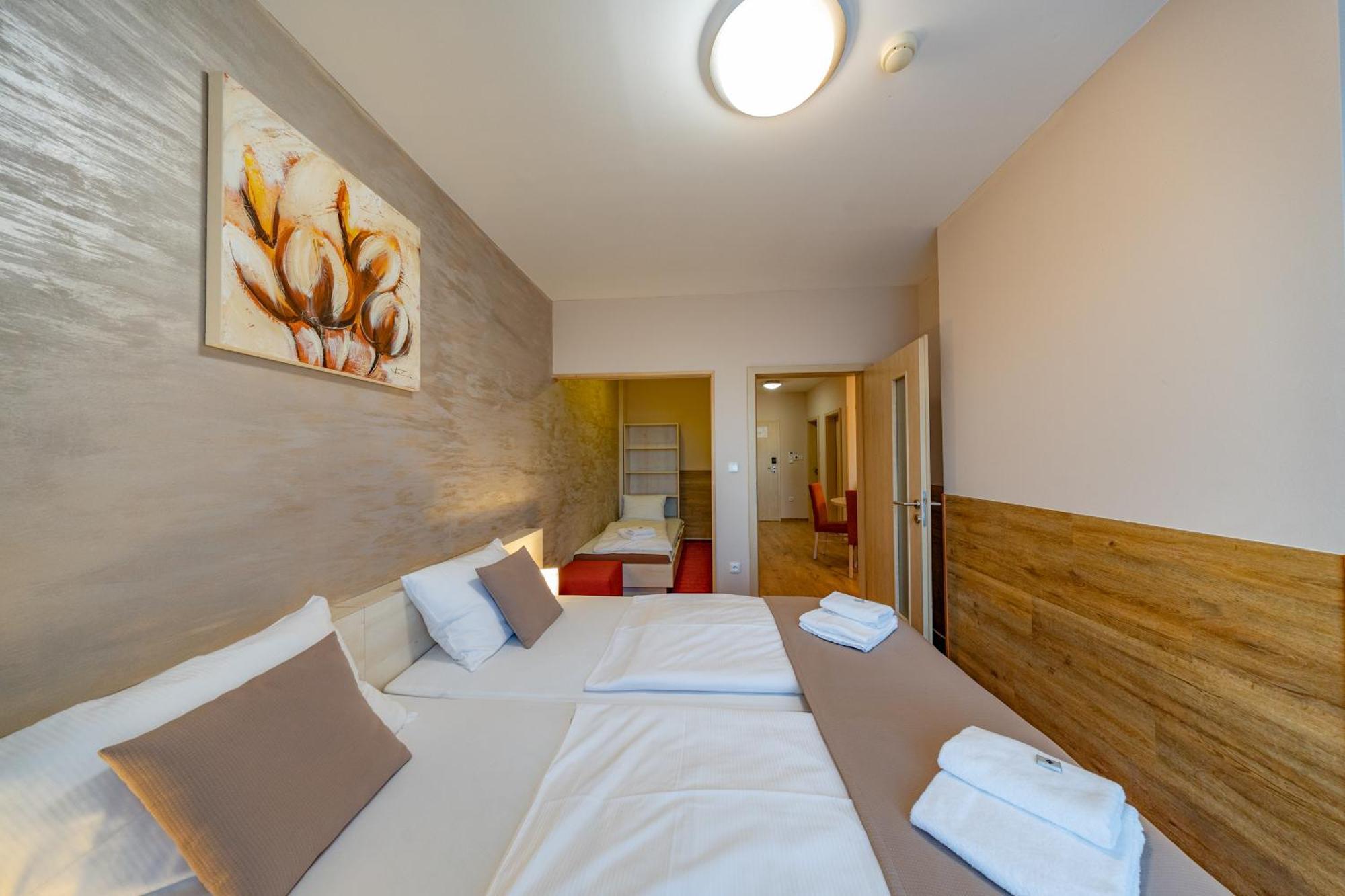 Deluxe Apartment with Balcony