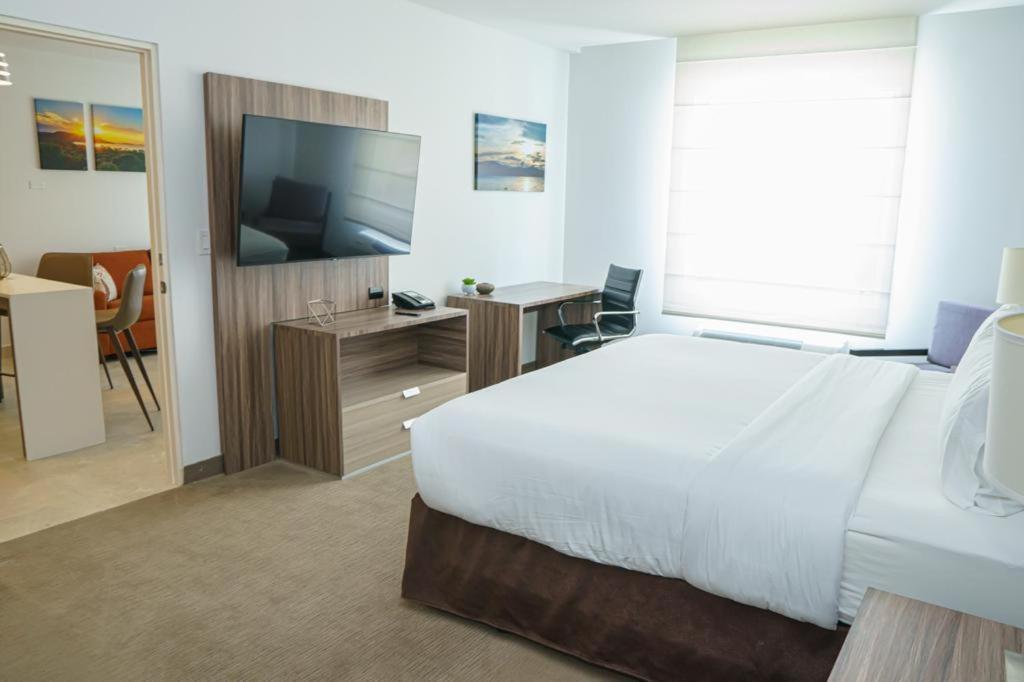 One-Bedroom Suite
