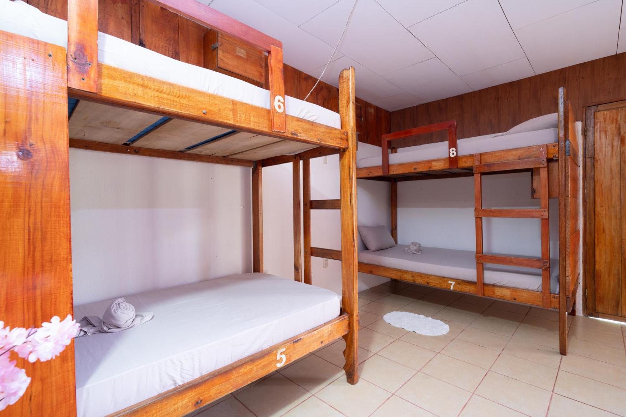 Bed in 6-Bed Mixed Dormitory Room