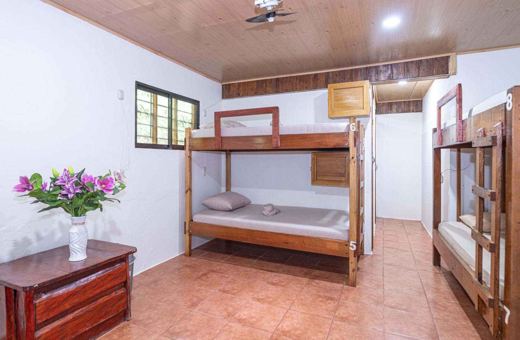 Bed in 6-Bed Mixed Dormitory Room
