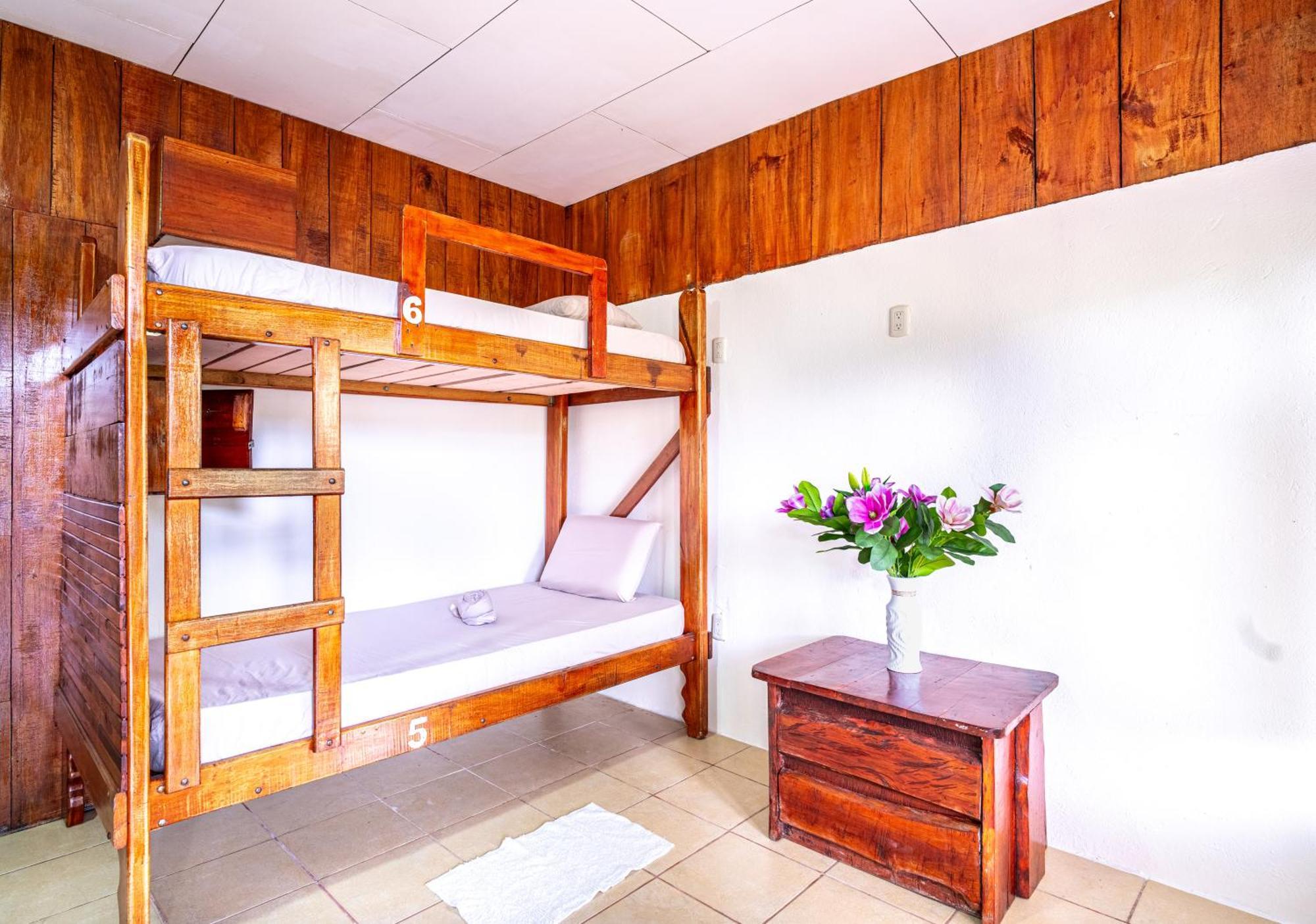 Bed in 6-Bed Mixed Dormitory Room