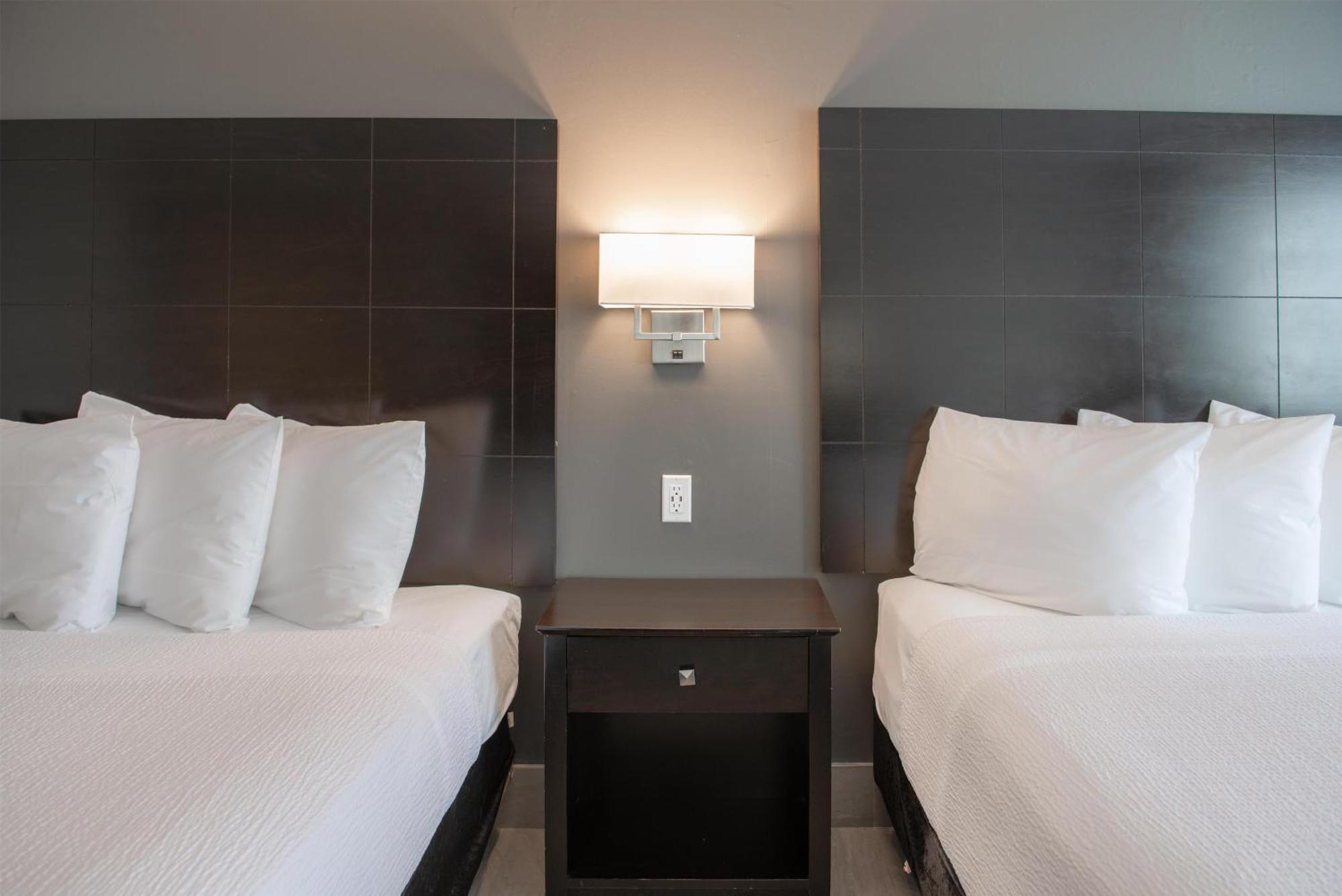 Coast Two Queens Pet Friendly