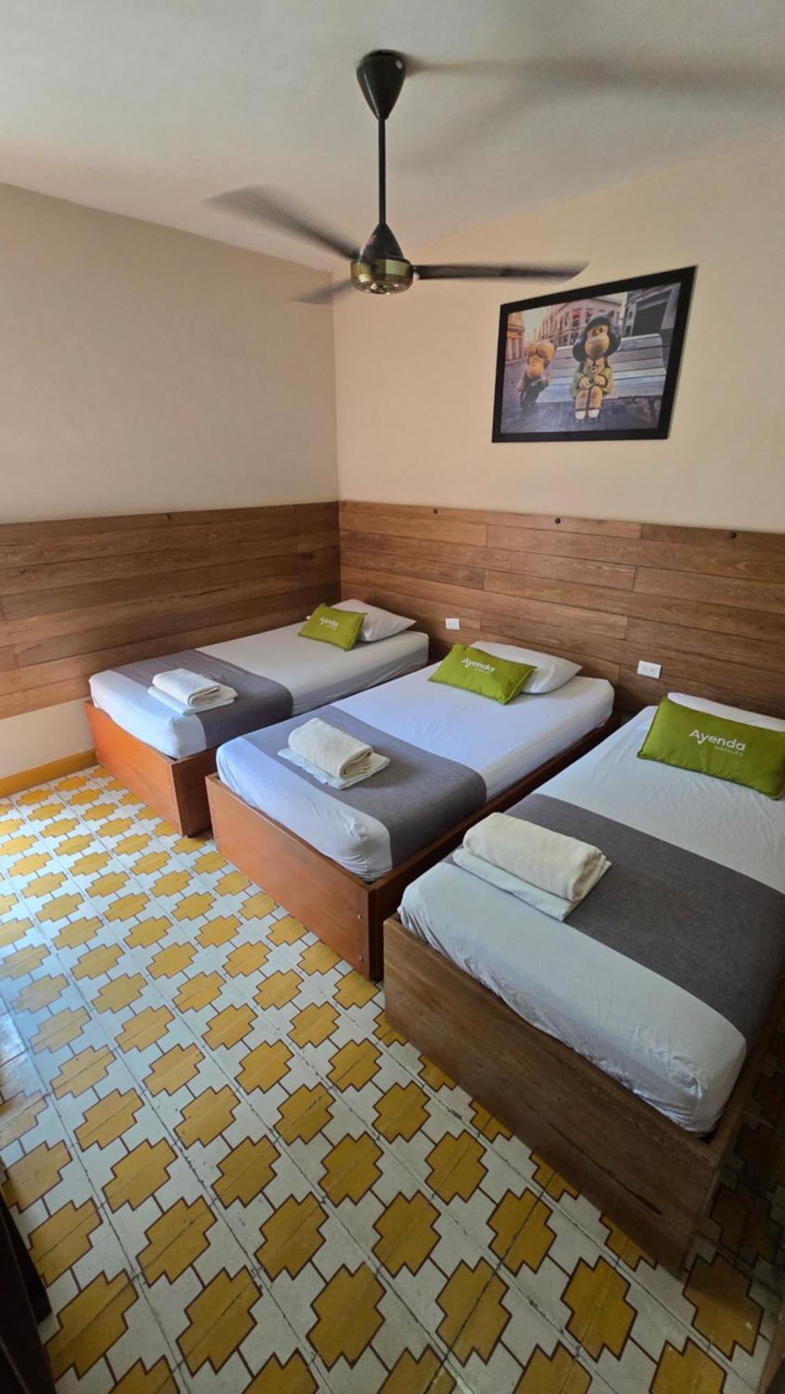 Budget Triple Room