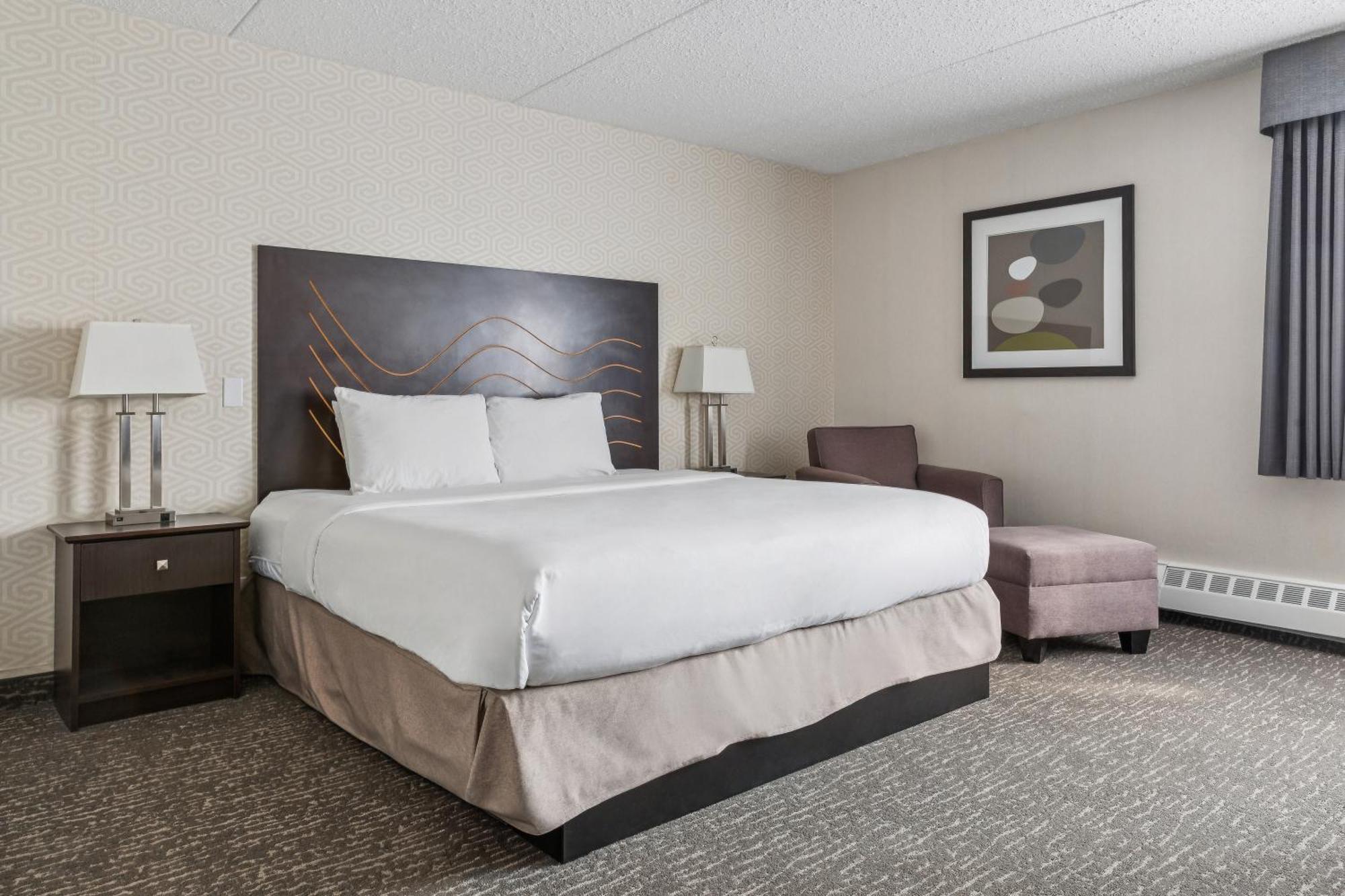 Standard Room, 1 King Bed - Non-Smoking/Not Pet-Friendly