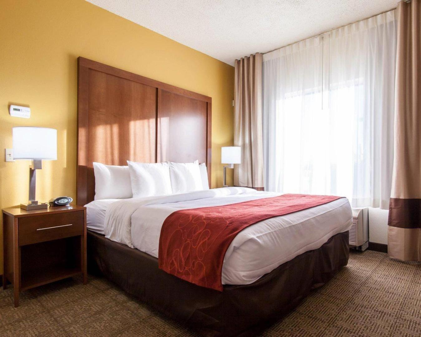 Standard King Suite