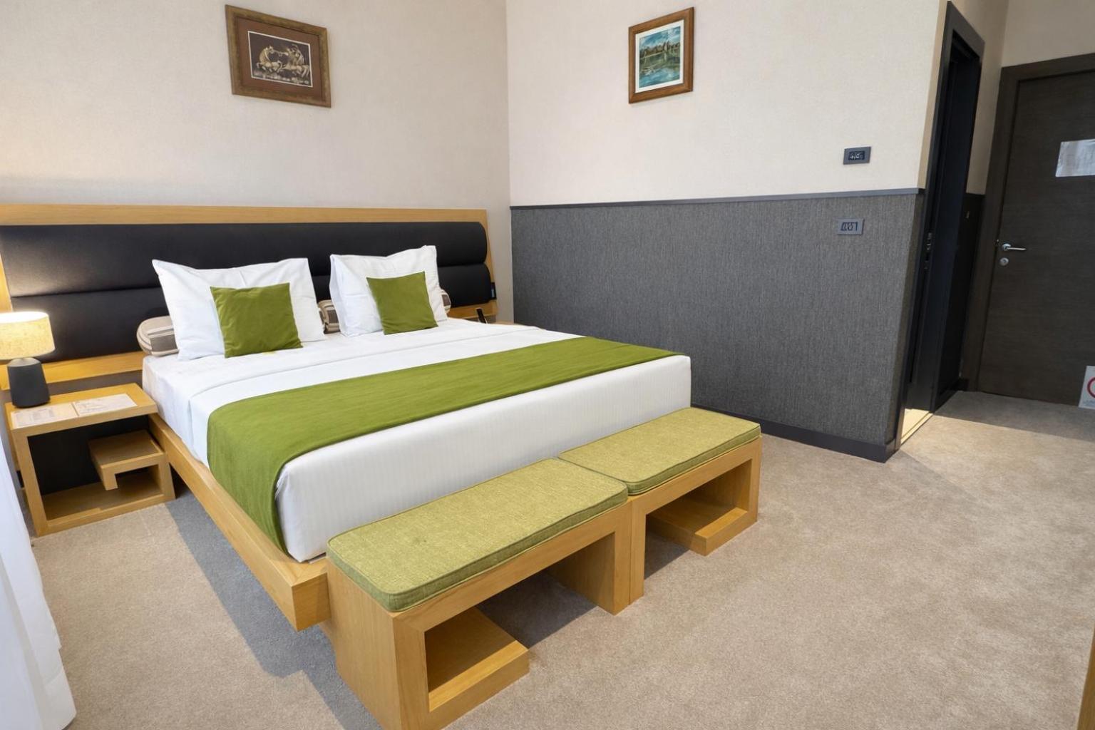 Superior Double or Twin Room with City View
