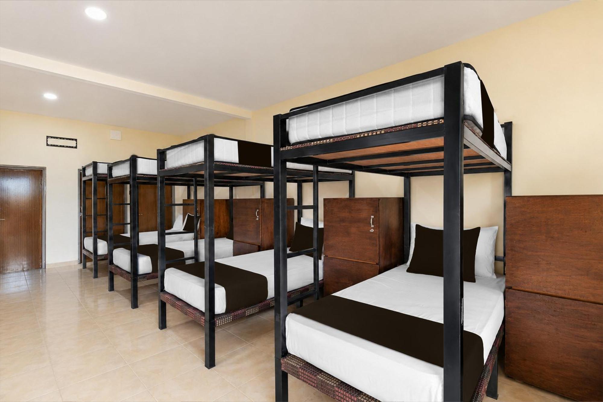 Bunk Bed in Mixed Dormitory Room