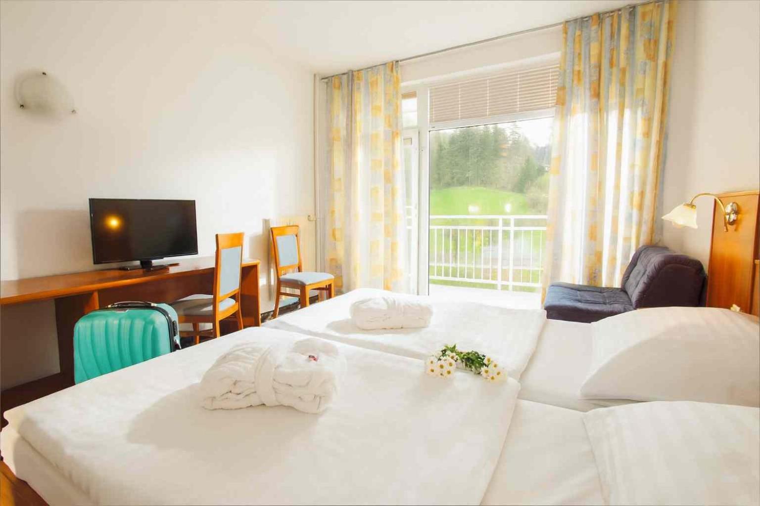 Comfort Double Room with Balcony and Park View