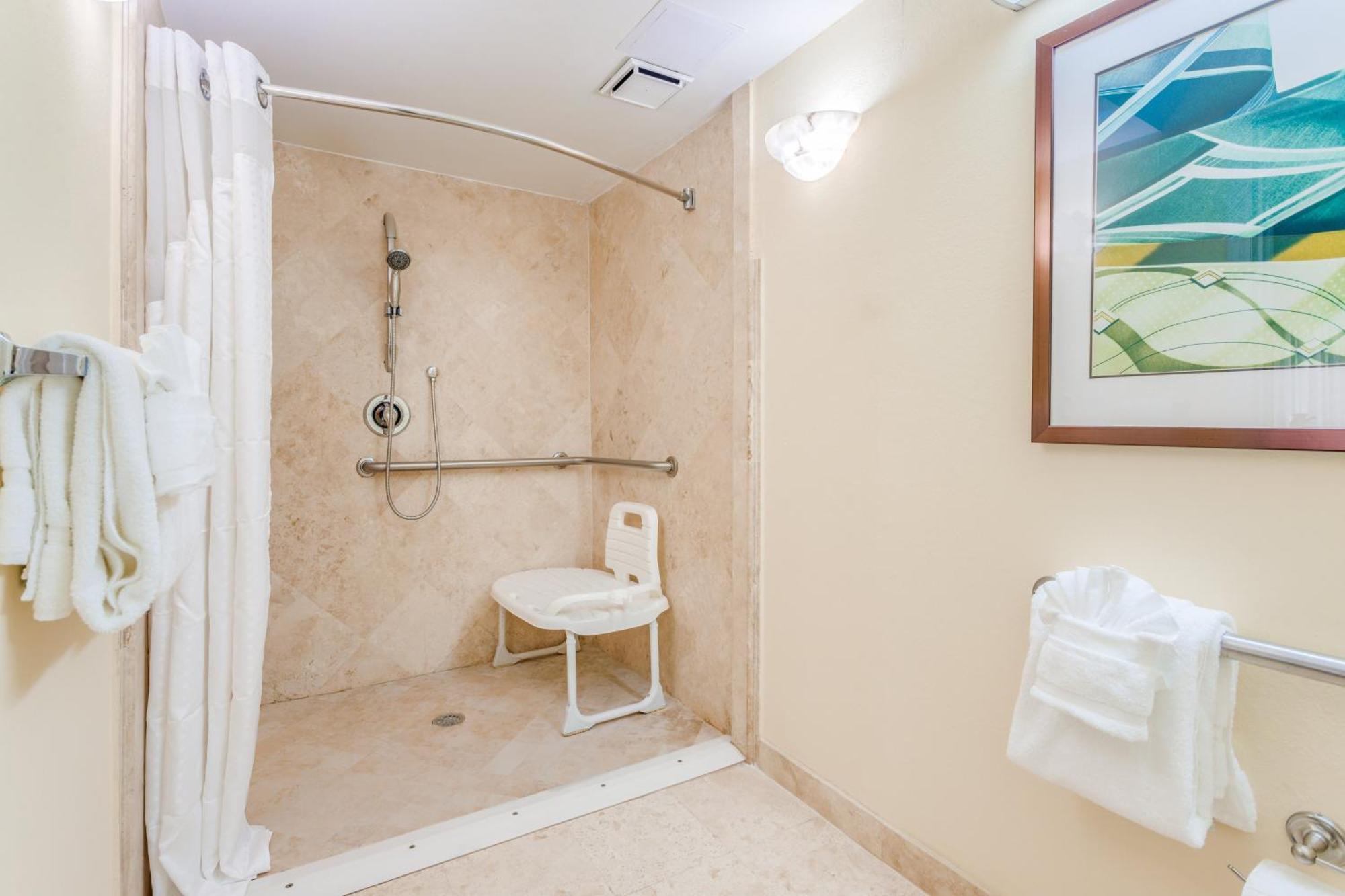 Standard King Room Roll Shower Communications Access