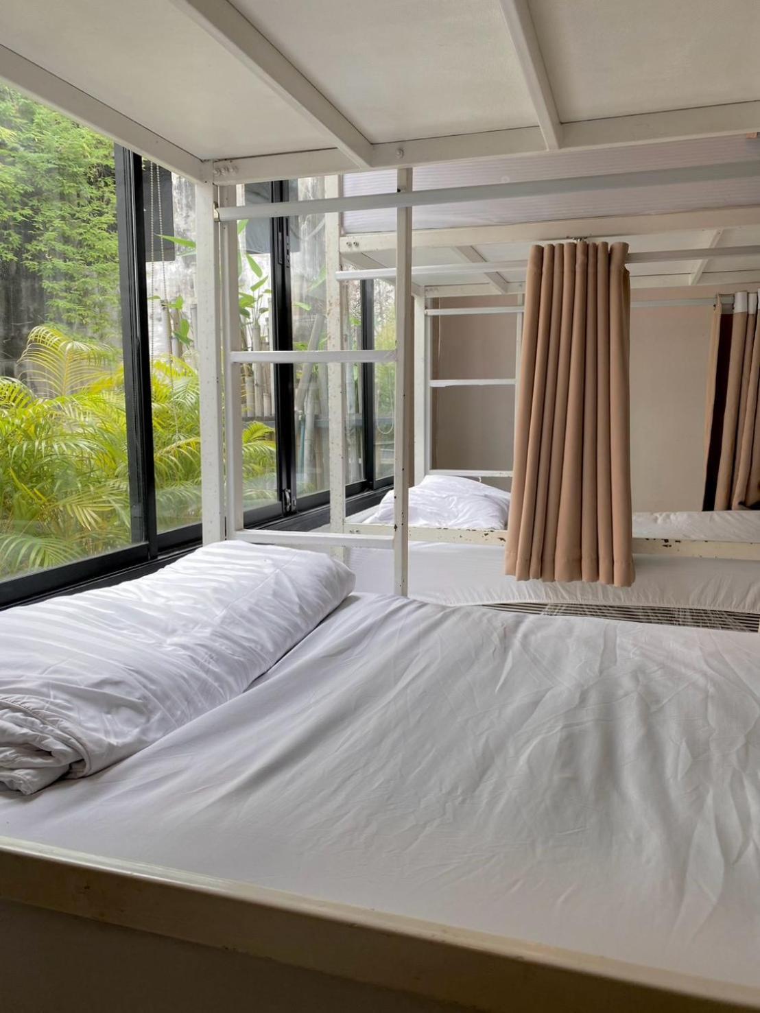 Bed in 8-Bed Mixed Dormitory Room