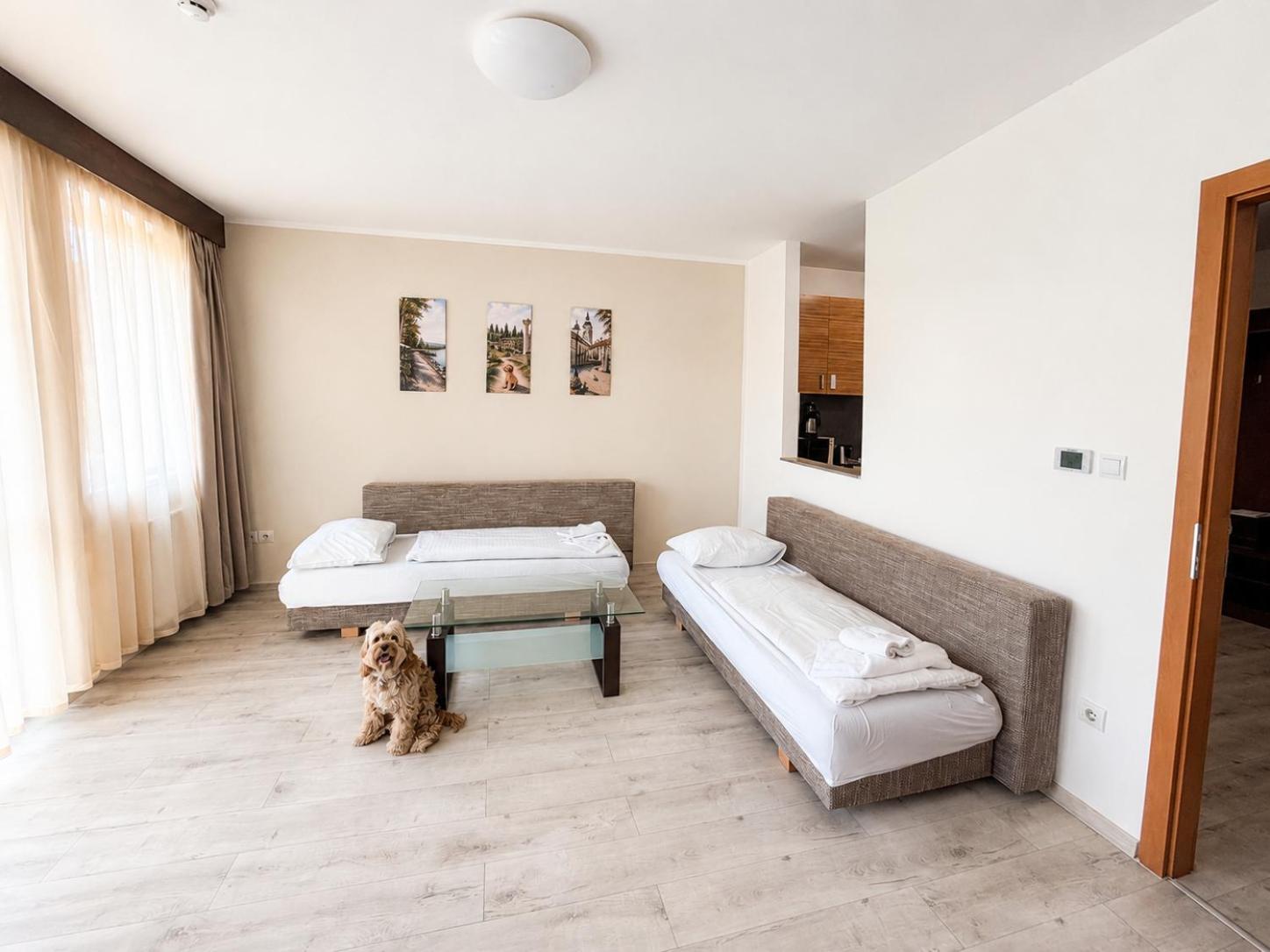 Superior One-Bedroom Apartment with Air-conditioning