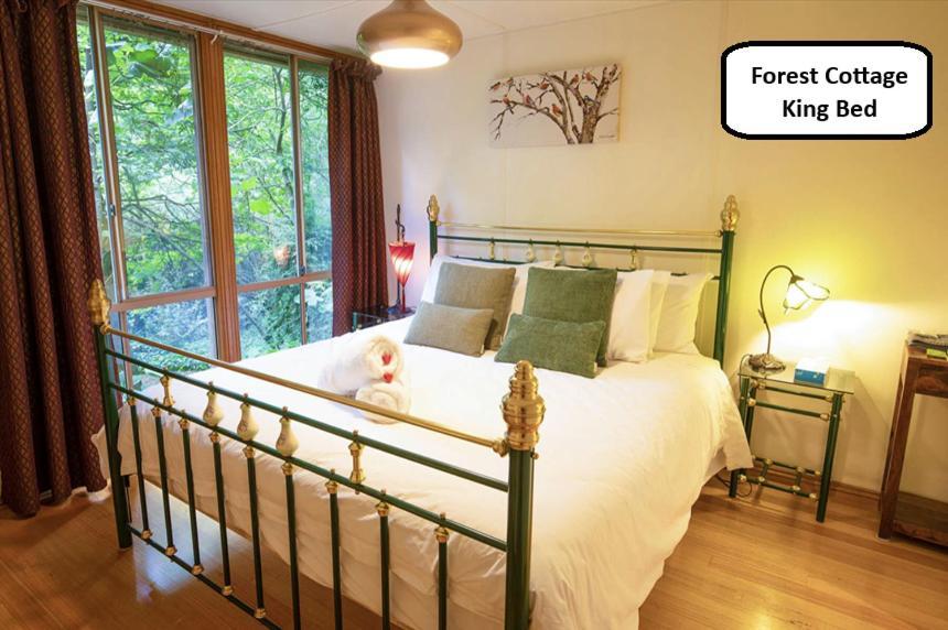 One Bedroom Cottage - Forest
