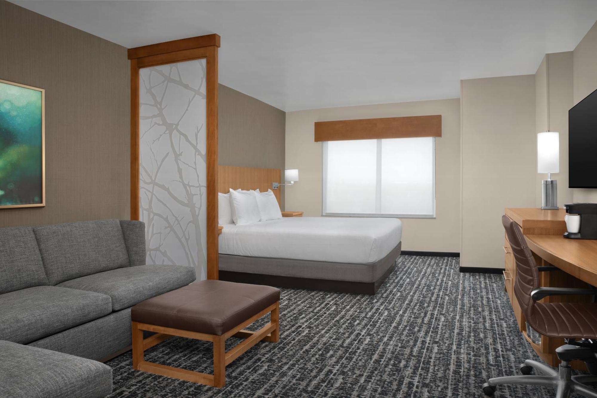 King Room with Sofa Bed