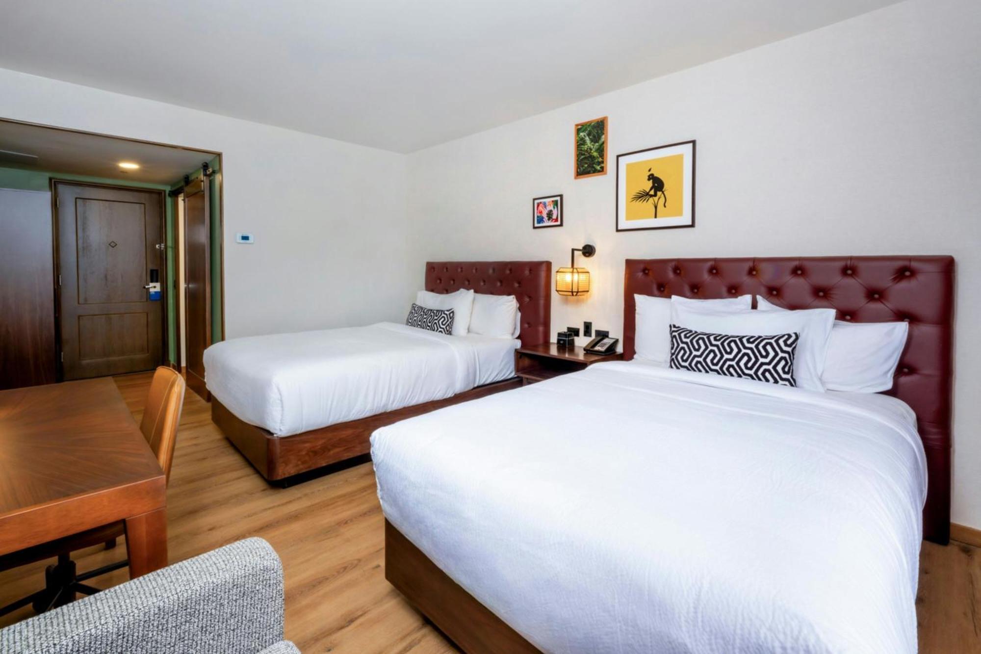 Double Room with Two Double Beds