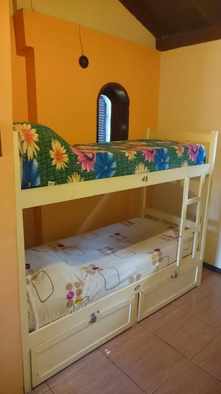 Single Bed in Mixed Dormitory Room