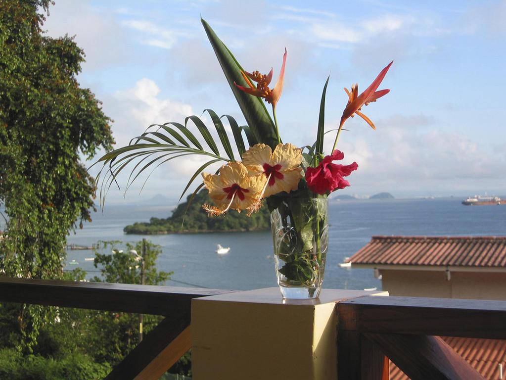 Junior Suite with Garden View