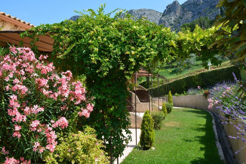 Superior Double Room with Terrace - Disability Access