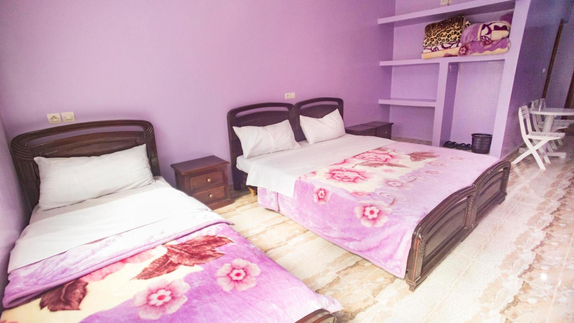 Suite Apartment