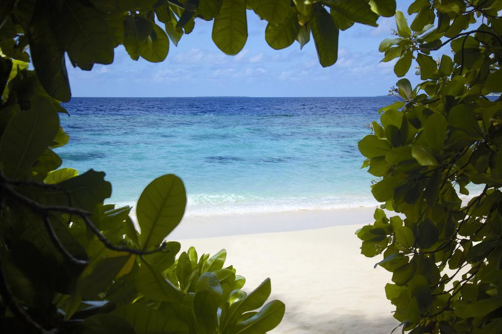 Beach Plunge Pool Villa, 122sqm, Beachfront, Butler Service, Sunset view