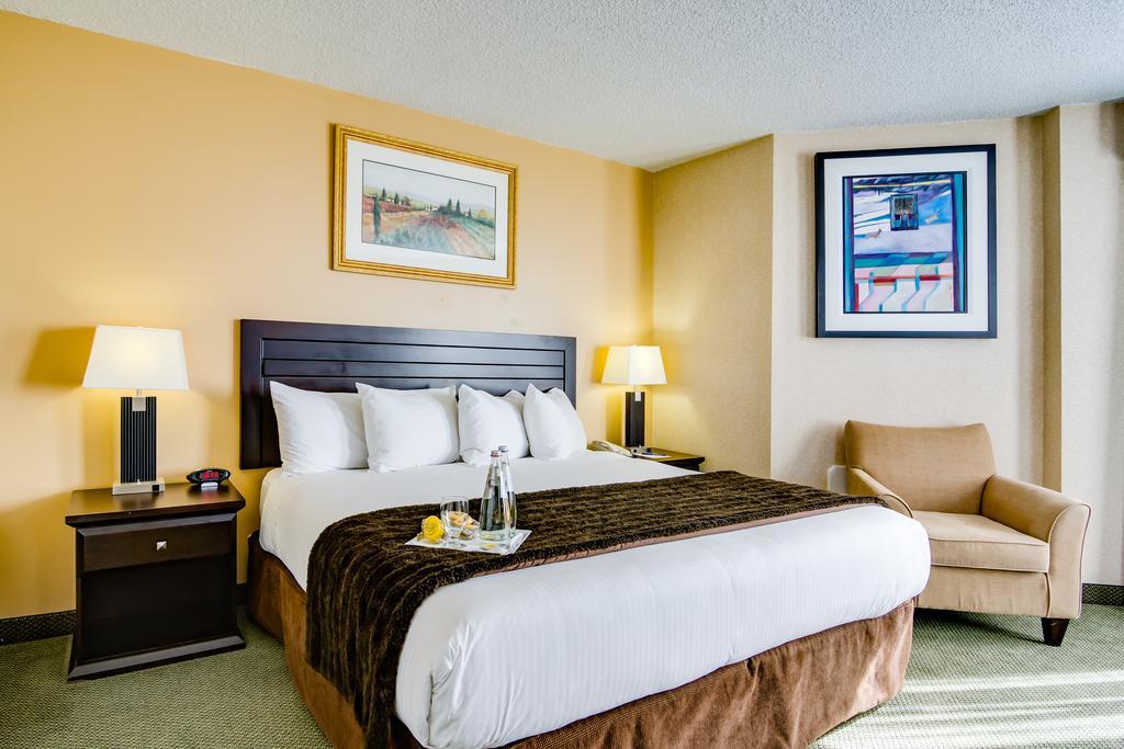 One-Bedroom Suite
